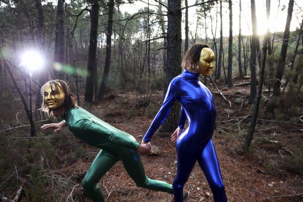 heimaeyvaleriearcheno